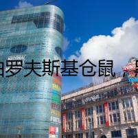 羅伯羅夫斯基倉鼠，黑色星期五驚魂
