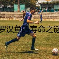 羅漢魚的壽命之謎