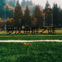 羅漢魚群之謎