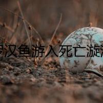 羅漢魚游入死亡漩渦