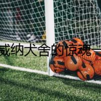 羅威納犬舍的驚魂一夜