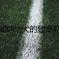 羅威納幼犬的致命打嗝