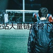 美亞站大量鏈接被下架，圣誕銷售恐受影響