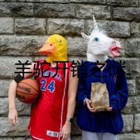羊駝開銷之謎