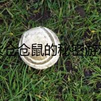 紫倉倉鼠的秘密游戲