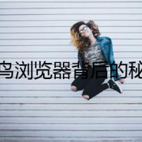 紫鳥瀏覽器背后的秘密
