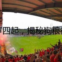 糧聲四起，揭秘狗糧行業(yè)的背后迷局