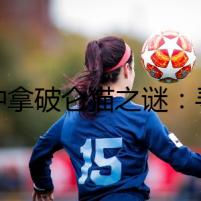 純種拿破侖貓之謎：尋找失蹤的名貴貓