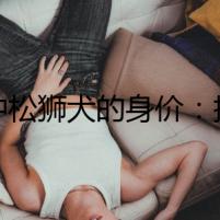 純種松獅犬的身價(jià)：揭開神秘面具