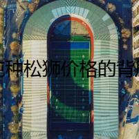 純種松獅價格的背后