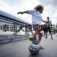 純種泰迪犬驚現(xiàn)尾巴，背后隱藏的驚人秘密
