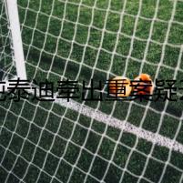 純泰迪牽出重案疑云