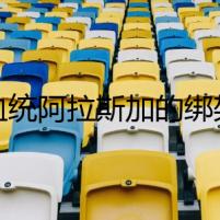純血統(tǒng)阿拉斯加的綁架疑云