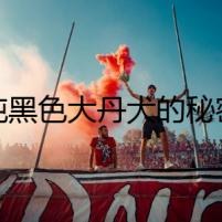 純黑色大丹犬的秘密
