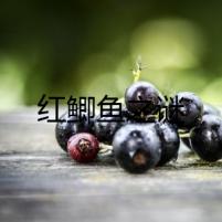 紅鯽魚之謎
