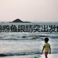 紅鸚鵡魚眼睛突出發(fā)白之謎