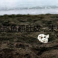 紅鸚鵡魚翻肚皮，未死掀迷霧