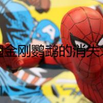 綠翅金剛鸚鵡的消失之謎