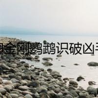 綠翅金剛鸚鵡識(shí)破兇手的詭計(jì)