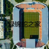 綠錦蛇之家