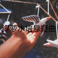 綠蘿水培懸疑曲