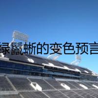 綠鬣蜥的變色預(yù)言