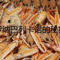 維羅納巴列卡諾的秘密日記