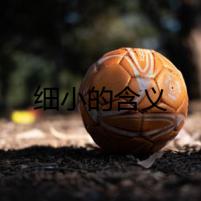 細(xì)小的含義