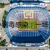 細(xì)小病毒感染：一場(chǎng)無聲的浩劫
