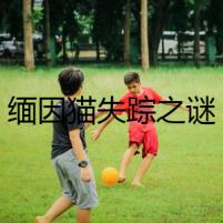 緬因貓失蹤之謎