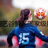 南洞藝谷景區(qū)國家級(jí)服務(wù)業(yè)標(biāo)準(zhǔn)化試點(diǎn)項(xiàng)目啟動(dòng)