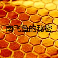 南飛魚的秘密