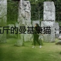 十五斤的曼基康貓：消失的貓糧