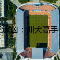千里追兇：訓(xùn)犬高手與馬犬的偵破之路