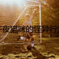 午夜貓咪的怪異行為
