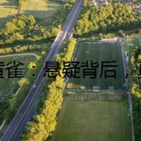 養(yǎng)黃雀：懸疑背后，真相待揭