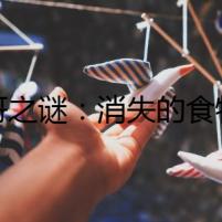 八哥之謎：消失的食物和詭異的歌聲