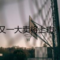 又一大賣將上市！
