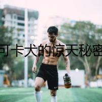 可卡犬的驚天秘密