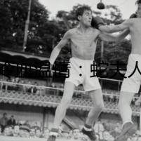 冷血溫情：蛇夫人