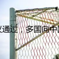 決議通過，多國向中國表達祝賀