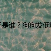 兇手是誰？狗狗發(fā)低燒之謎