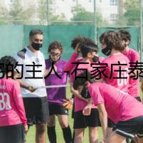 兇宅的主人-石家莊泰迪犬市場