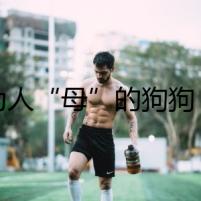 初為人“母”的狗狗，揭秘黑夜中的神秘事件