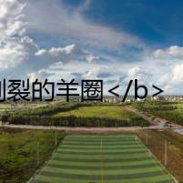 割裂的羊圈</b>