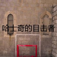 哈士奇的目擊者