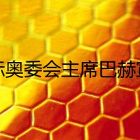 國際奧委會主席巴赫宣布不再連任