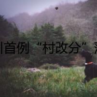 四川首例“村改分”落地 年內(nèi)全國村鎮(zhèn)銀行整合提速