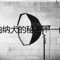 圣伯納犬的秘密：一份死亡名單