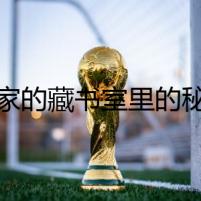 作家的藏書室里的秘密